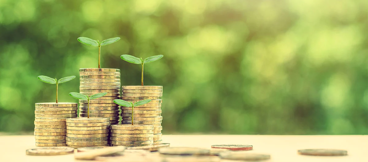 Salesforce Nonprofit Cloud Costs